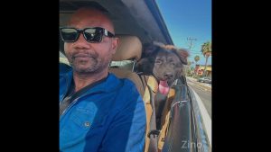 I Cloned My Dog Zeus. Then His Little Habits Returned
