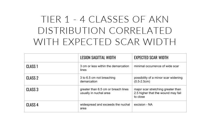 Four distribution patterns and their expected excisional scar width